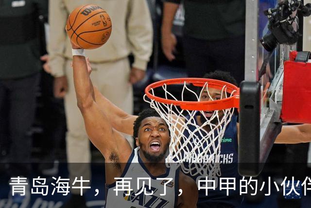 青岛海牛，再见了，中甲的小伙伴们等着你！